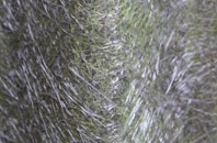 Alwalton fibreglass roof work