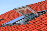 Alwalton roof window